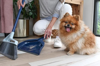 Fur-Free Living: How to Minimize Pet Hair in Your Home