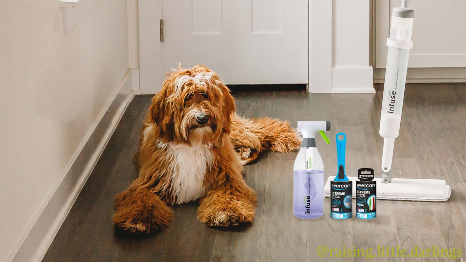 Pet Friendly Cleaning with Infuse Clean by Casabella